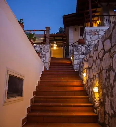 Aurelia Kefalonia *