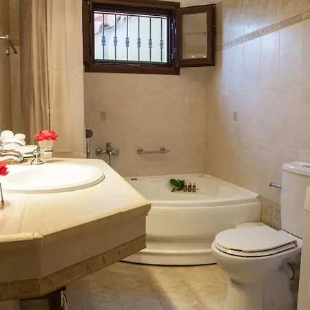 Aurelia Kefalonia Vilă *